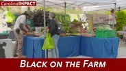 Black On The Farm