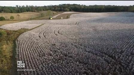 Video thumbnail: PBS NewsHour 'Dirt to Shirt' movement hopes to regrow local textiles