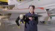What Do Birds and Planes Have In Common?