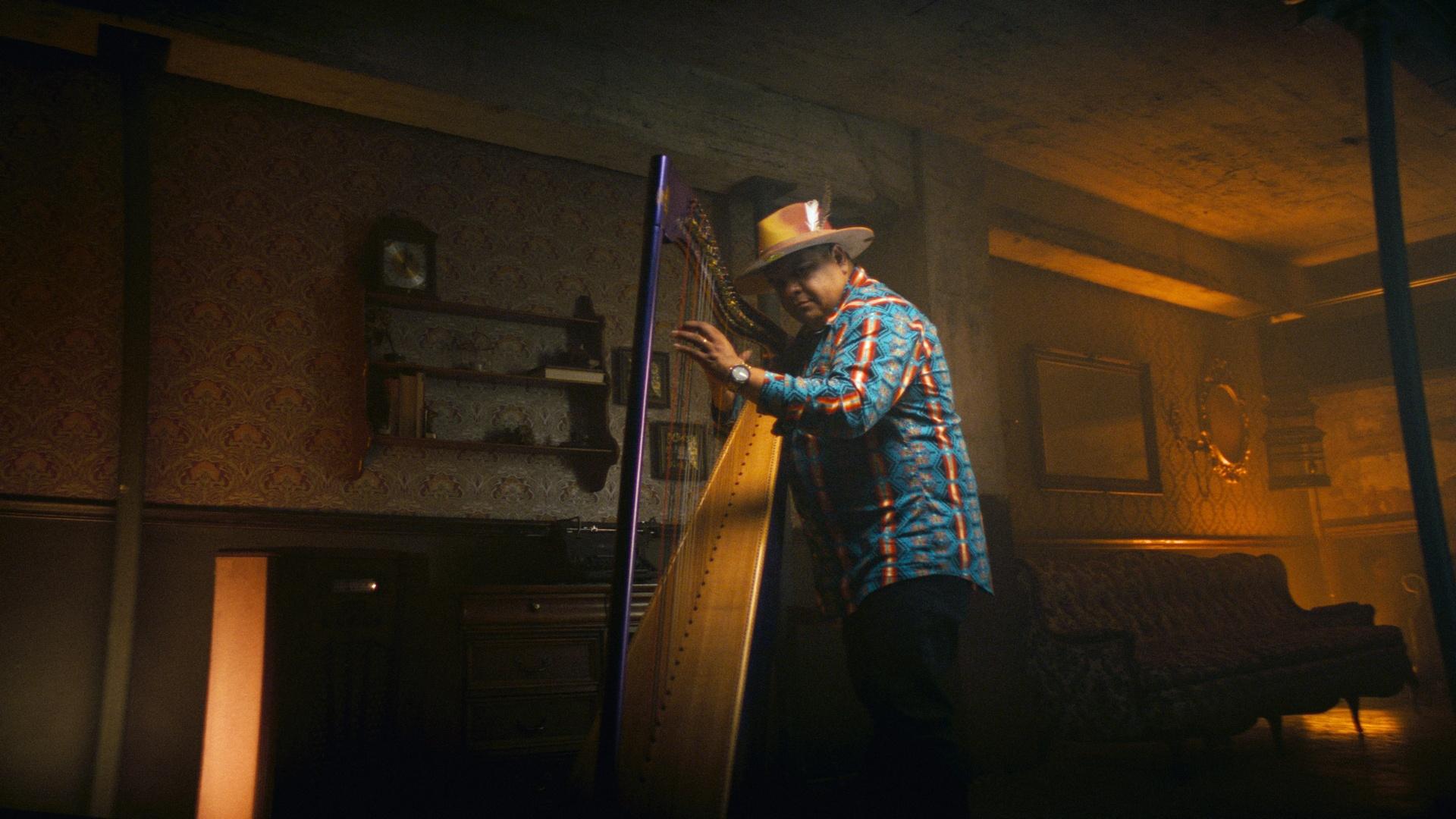 A man in a hat plays the harp.
