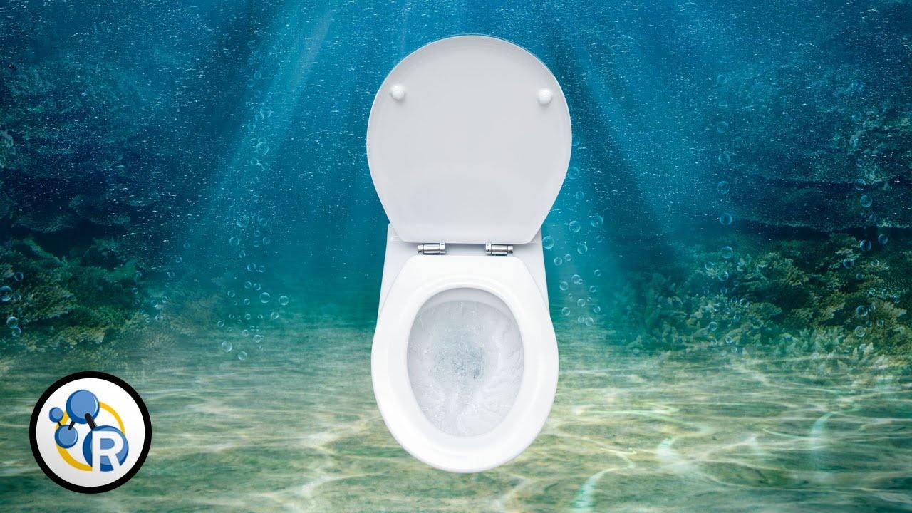 Is it OK to Pee in the Ocean?