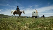 The Lonely Life of Sheepherders