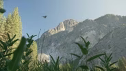 Yosemite