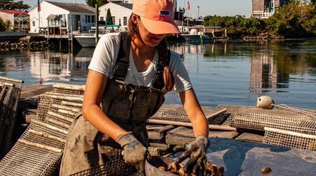 Video thumbnail: Adaptive Capacity Matunuck Oyster Farm