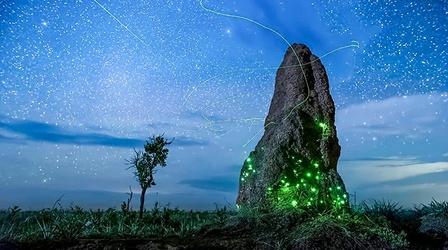 Video thumbnail: Flicks Tiny World/Earth at Night in Color