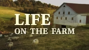 Life on the Farm
