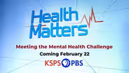 Meeting the Mental Health Challenge  preview