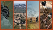 Fall 2026 Season Preview