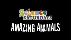 Video thumbnail: ThinkTV Education Science Saturdays - Amazing Animals