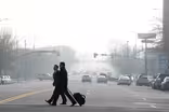 Researchers seek link between air pollution, brain disease