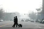 Researchers seek link between air pollution, brain disease