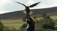 Falconer Helen Macdonald Takes Goshawk Out for Test Flight