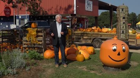 Video thumbnail: Mississippi Roads Food of a Different Kind