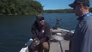 Quality Bluegills
