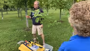 Pruning Trees