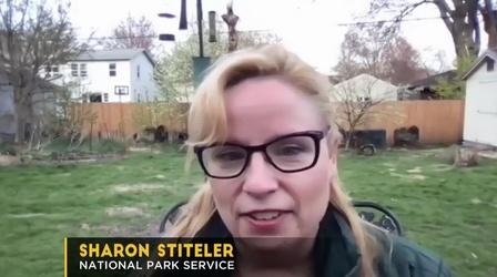 Video thumbnail: Almanac Spring Birdwatching Tips By Birdchick
