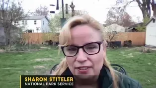 Spring Birdwatching Tips By Birdchick