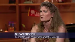 Former Animal Care Director on Falling Out with City Hall
