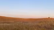 The Last Prairie