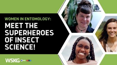 Video thumbnail: Science Specials Women in Entomology: Meet the Superheroes of Insect Science