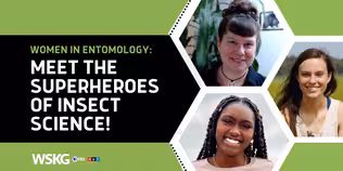 Women in Entomology: Meet the Superheroes of Insect Science