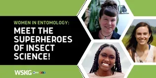 Women in Entomology: Meet the Superheroes of Insect Science