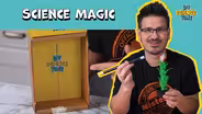 Science Magic