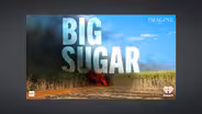 Podcast explores sugar industry's mistreatment of workers