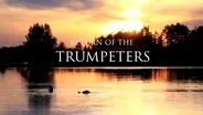 Return of the Trumpeters