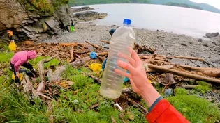 If You Give a Beach a Bottle