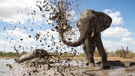 Preview: asset-mezzanine-16x9