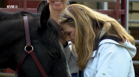 Video thumbnail: KVIE Digital Studios Connected Horse Project | Focus on Health