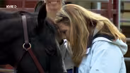 Connected Horse Project | Focus on Health