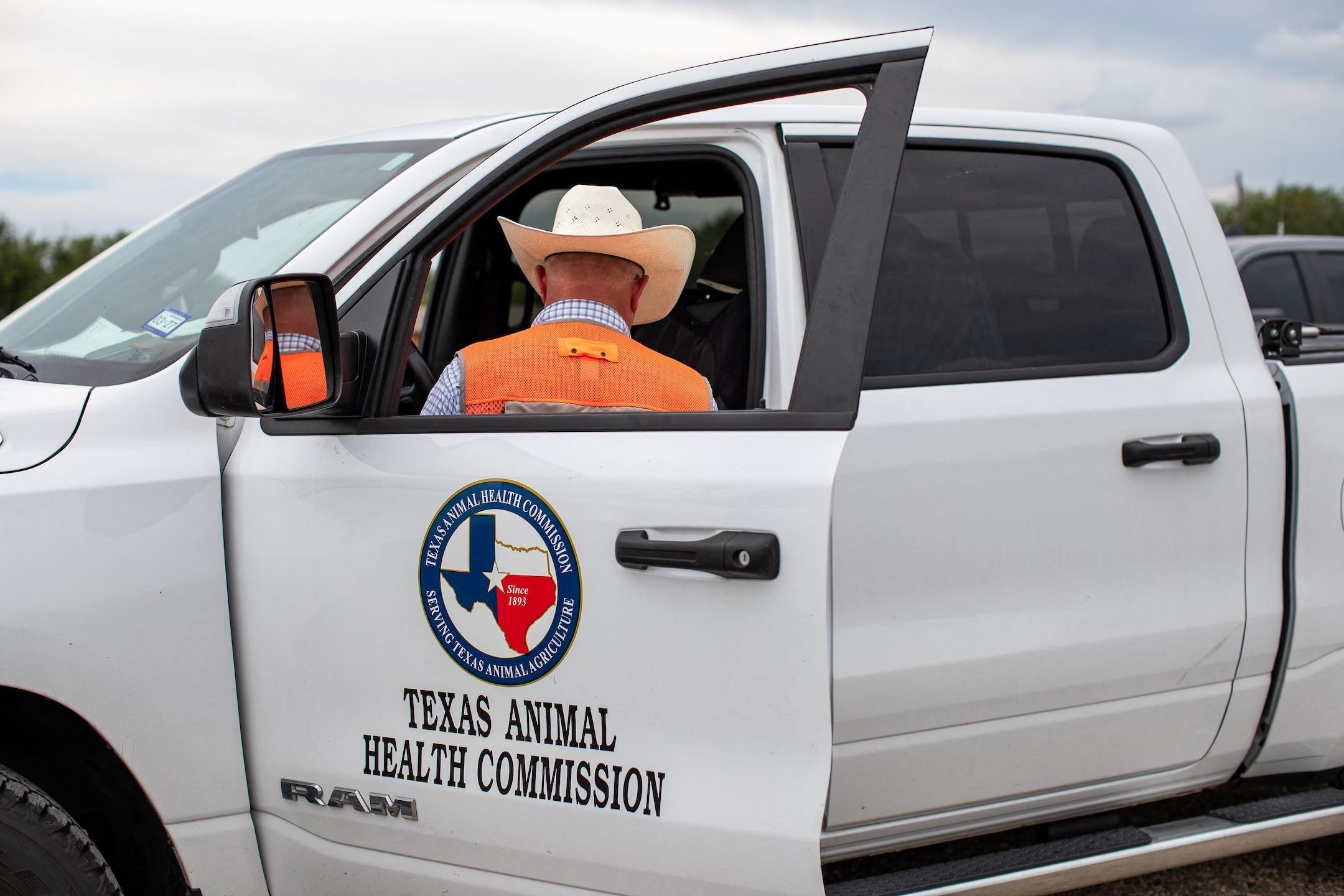 News Wrap: 3 more screwworm cases found in Texas and New Mexico