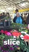 Duluth Farmers Market