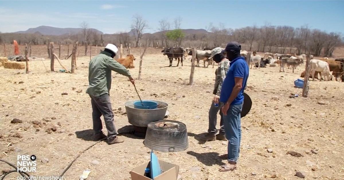 PBS News Hour | A secret look inside a Mexican cartel's fentanyl lab | Season 2021