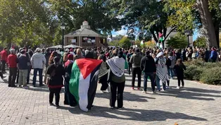 Impact of Israel-Hamas War on Virginians