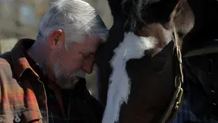 Beachwood Integrative Equine Therapy