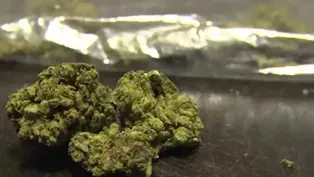 What to expect now that marijuana is legal in NJ