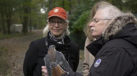 Video thumbnail: Short Takes Jane Alexander: Saving Our Wildlife