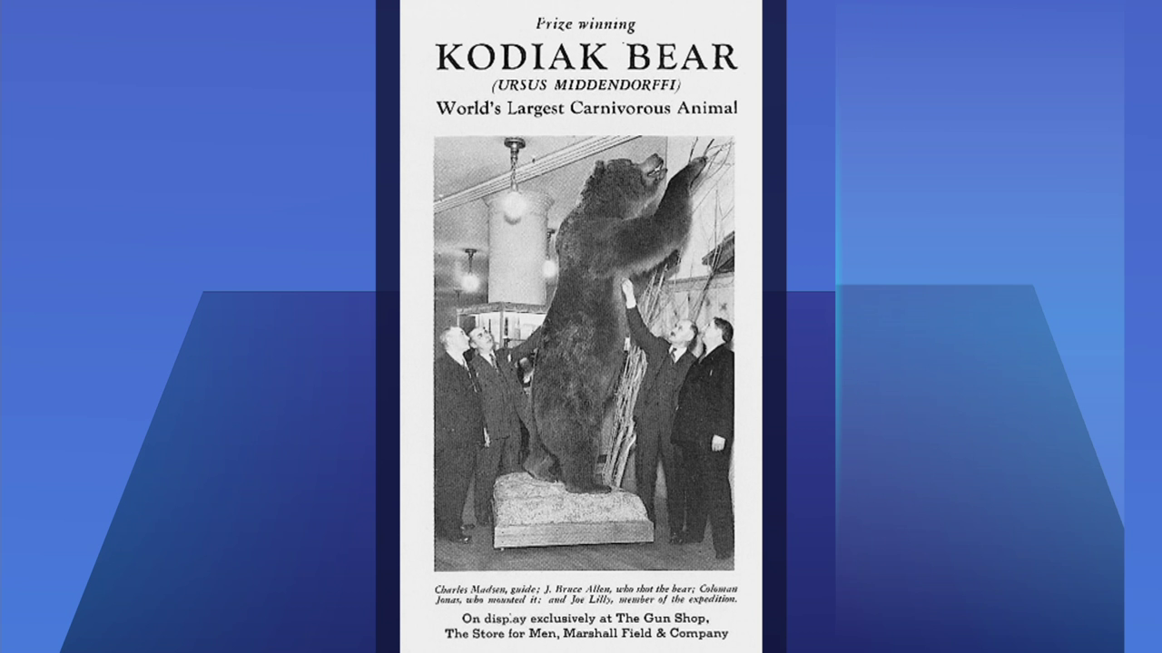 Ask Geoffrey: Where Are Those 1950s Giant Stuffed Bears? | Chicago