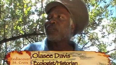 Video thumbnail: Rediscover St. Croix Rediscover St. Croix: French Bill Pond Moonlight Hike