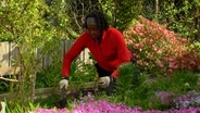 Food Plants for Flower Beds