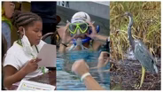 Underwater Rugby, Lake Ella Cottages & Birds (Episode 803)