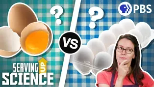 Does it really matter what eggs you buy?