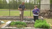 Refilling a Raised Bed & Planting Strawberries in a Raised Bed