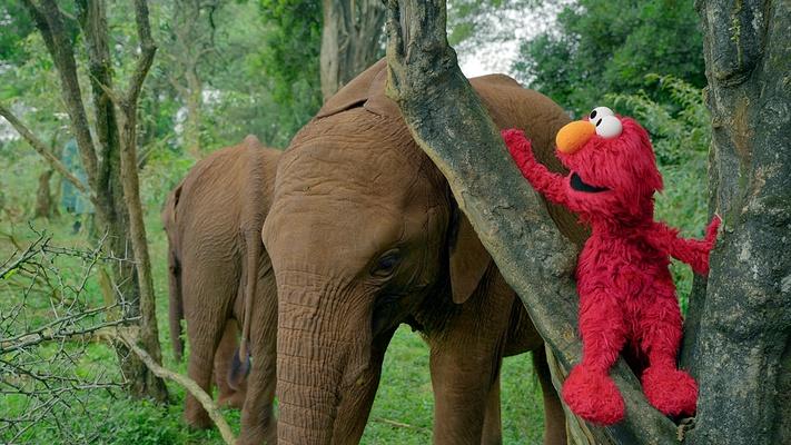 Sesame Street and the Great Elephant Adventure: asset-mezzanine-16x9