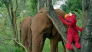 Preview of Sesame Street and the Great Elephant Adventure