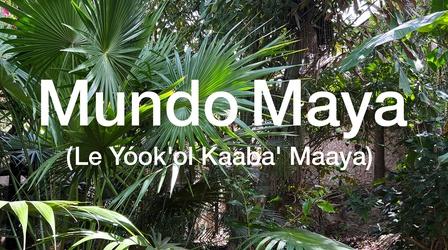 Video thumbnail: Mundo Maya Mundo Maya