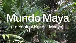 Mundo Maya